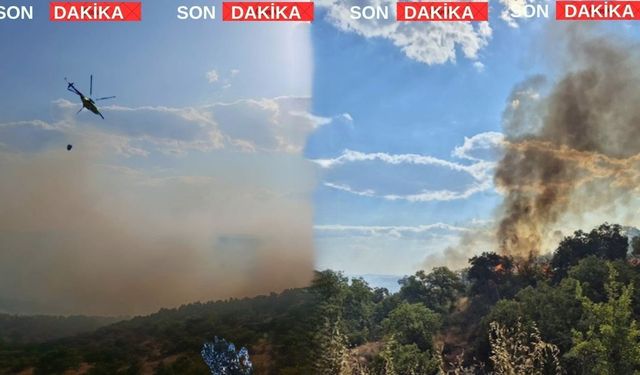 Uşak’ta bu yazın en büyük orman yangın başladı