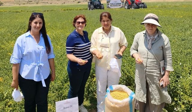 Uşak Çiftçisine Müjde  Yeni Nohut Tohumu Topraktan Güçlü Çıktı