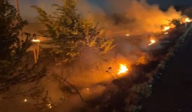 Uşak'ta Anız Yangınlarına Karşı Uyarı!