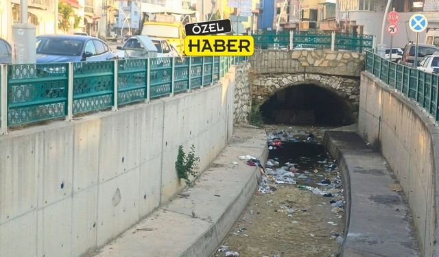 Uşak’ın İnci gerdanlığı Dokuz Sele Çayı Pislik İçerisinde