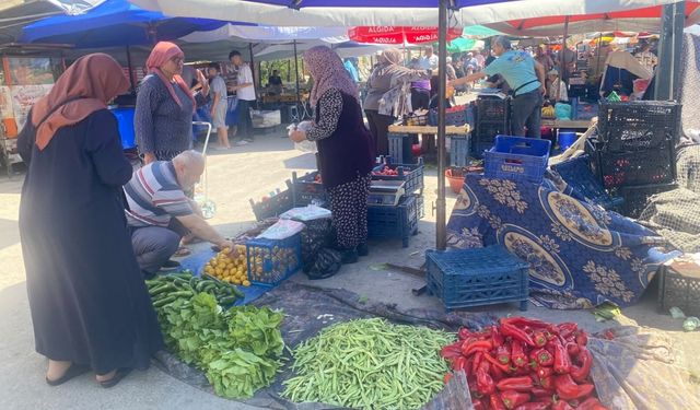 Uşak Salı Pazarı'nda Fiyat Şoku! Domates 20 TL, Bamya 200 TL