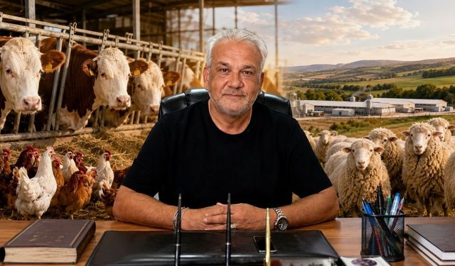Uşak’ta Büyükbaş ve Küçükbaş Sayısı Geriliyor