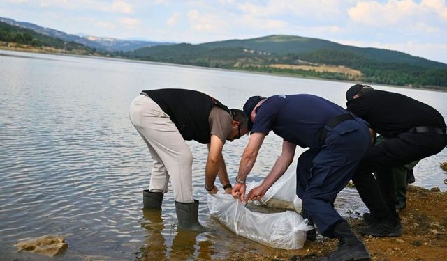 Uşak’ta 19 Gölete 433 Bin Yavru Balık Bırakıldı