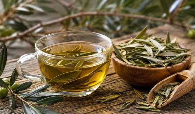Zeytin Yaprağı Neye İyi Geliyor? Uşaklı Aktar Tek Tek Anlattı