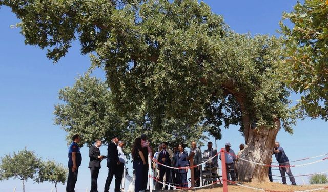 Uşak’ın Eşme İlçesi Kurtuluşunun 104. Yılını Coşkuyla Kutladı