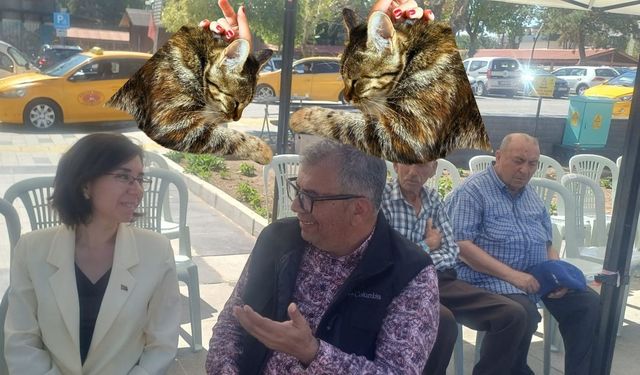 “Uşak’ın Sürgün (!) Kedisi Mia’daki Keyif Bey’de Yok”