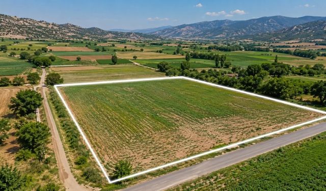 Banaz’da 1 Milyon 912 Bin TL’lik Tarla İcradan Satışa Çıkıyor
