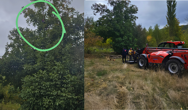 Uşak’ta Ceviz Ağacında Mahsur Kalan Kadını Manitou Kurtardı