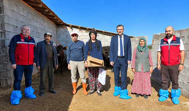 Uşak'ta 30 Yetiştiriciye 351 Gebe Düve Desteği