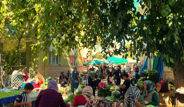 Uşak Salı Pazarı’nda Sebze, Meyve Fiyatları Belli Oldu