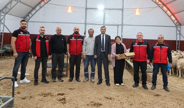 Uşak'ta Küçükbaş Hayvancılığa Destek: 100 Kuzu Teslim Edildi