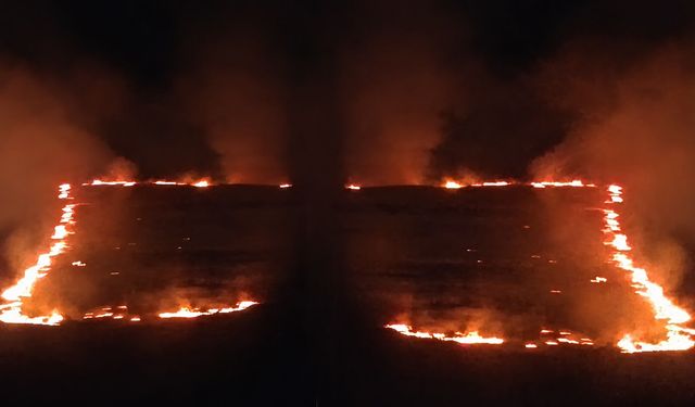 Uşak-Ulubey Yolu Alevler İçerisinde Kaldı