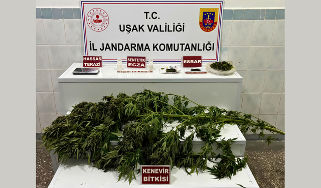 Uşak Jandarması Zehir Tacirini Mallarıyla Birlikte Yakaladı