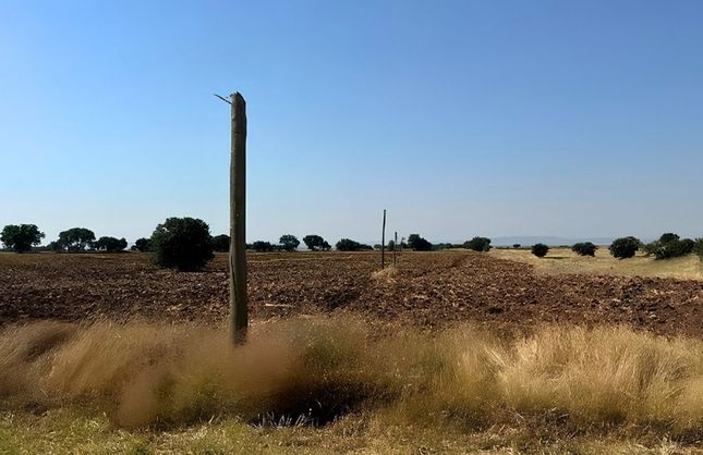 Uşak’ın Sivaslı İlçesinde Fiber Kablo Hırsızları Tutuklandı