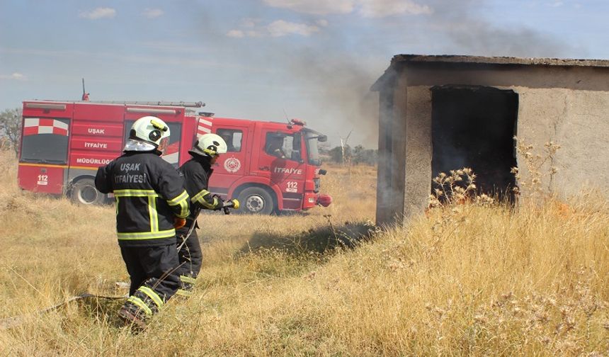 Kışlık bakımda "antifriz" tuzağı