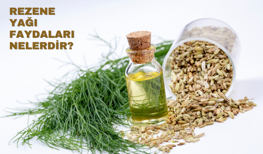 Rezene Yağının Faydaları ve Kullanım Rehberi