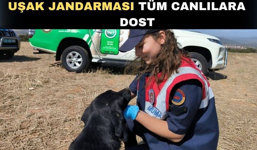 Uşak jandarması insanı da doğayı da koruyor