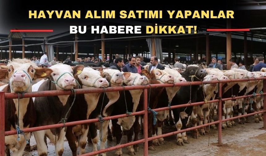 Uşak’ta hayvan pazarı açılış saatleri değişti