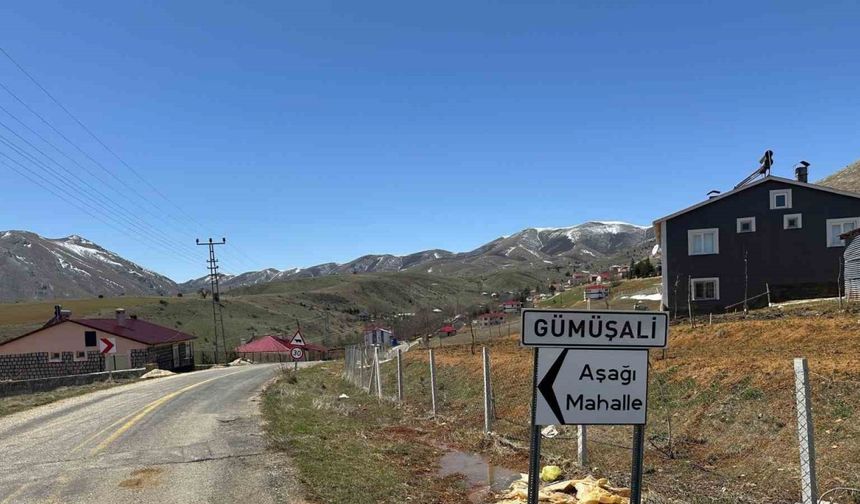 Sahipli köpekler 72 yaşındaki adamın ölümüne sebep oldu