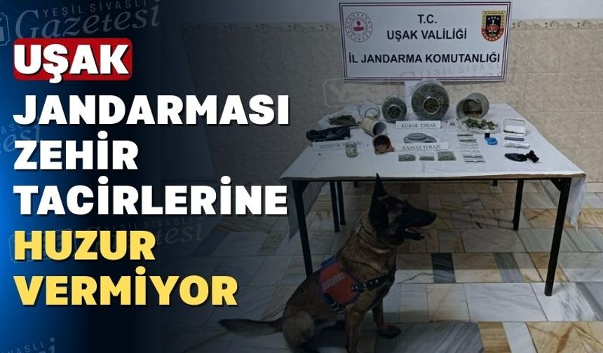 Uşak Jandarması 16 zehir tacirini suçüstü yakaladı