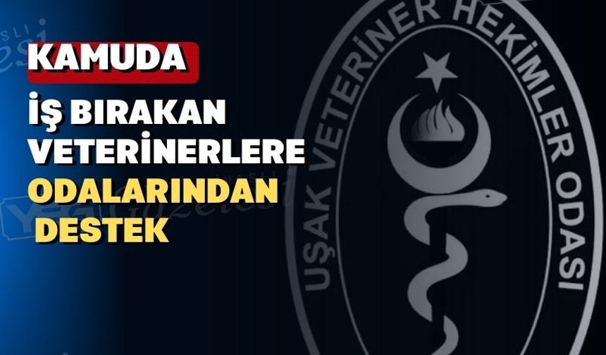 Uşak’ta kamuda çalışan veterinerler iş bırakıyor
