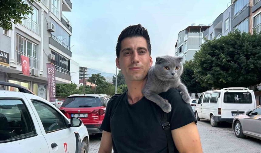 'Duman kedi' sahibinin omzunda kenti turluyor