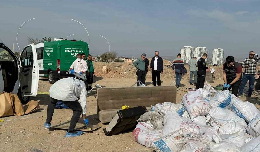 Öldürüp tuzlayıp halıya sarıp çekyatla atmışlar
