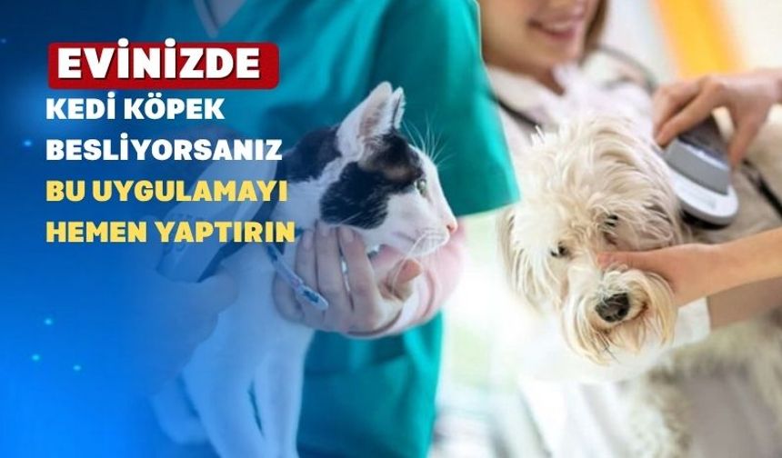 Uşak’ta kedi köpek besleyenler; bu habere dikkat!