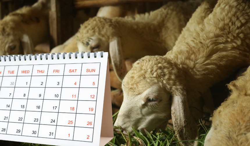 2026 Kurban Bayramı Ne Zaman? Tatil Kaç Gün Sürecek