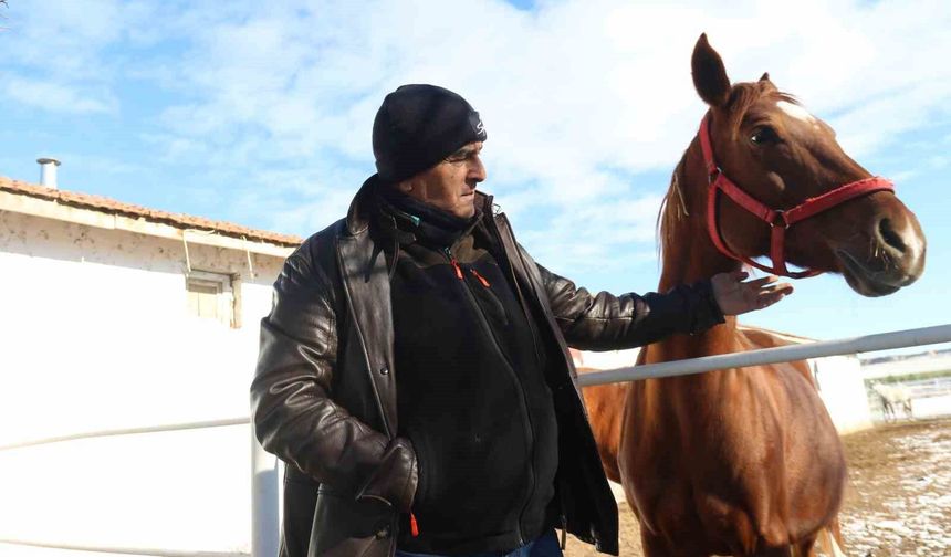 At yetiştiricisi kışın yaşadıkları zorlukları anlattı