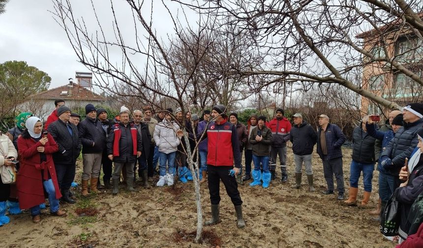 Uşak’ta uygulamalı budama eğitimi verildi