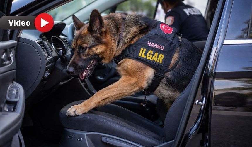 Uşak Emniyetinin sevimli dostu ölüm tacirlerine göz açtırmıyor