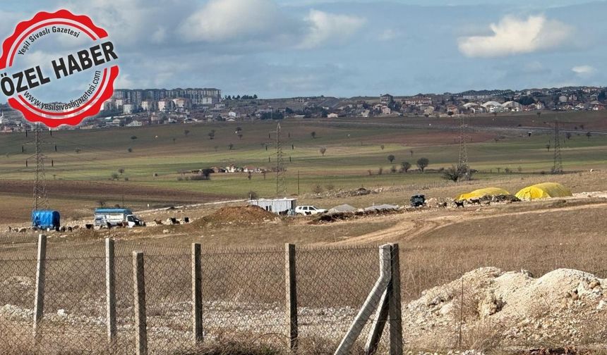 Uşak’ta yapılamayan sanayi sitesinde koyunlar otluyor