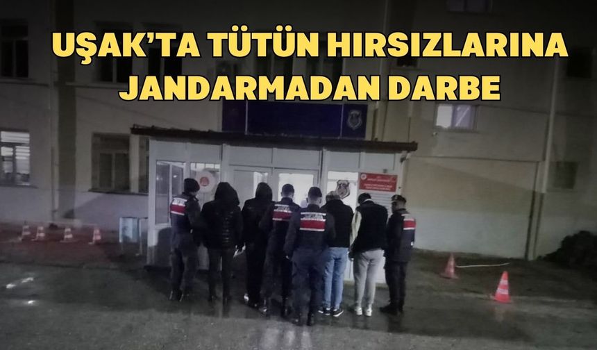 Uşak Karahallı'da Jandarmadan Tütün Hırsızlarına Darbe: 4 Gözaltı!