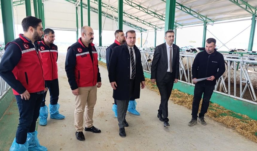 Uşak’ta Ari İşletme Sayısı Yükselişte