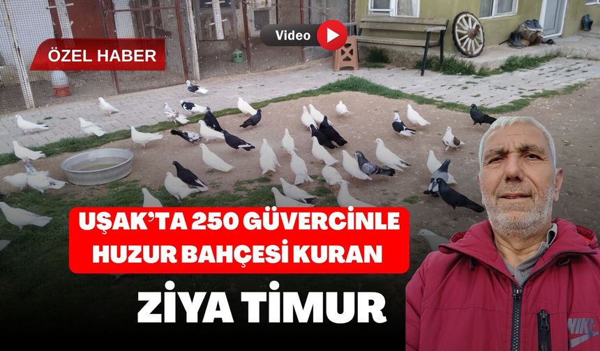 Uşak’ta 250 Güvercinle Huzur Bahçesi Kuran Ziya Timur