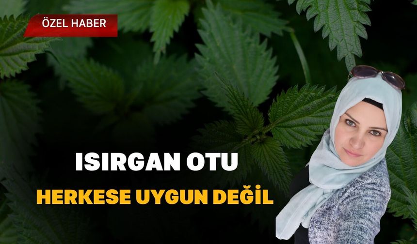 Isırgan Otu Herkese Uygun Değil