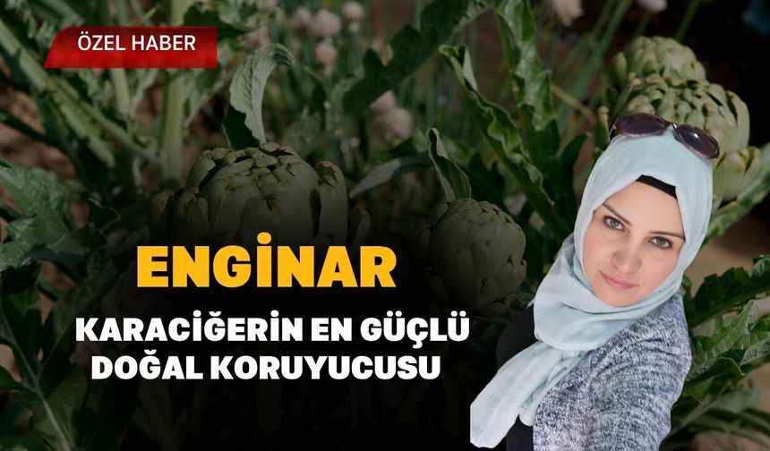 Enginar, Karaciğerin En Güçlü Doğal Koruyucusu