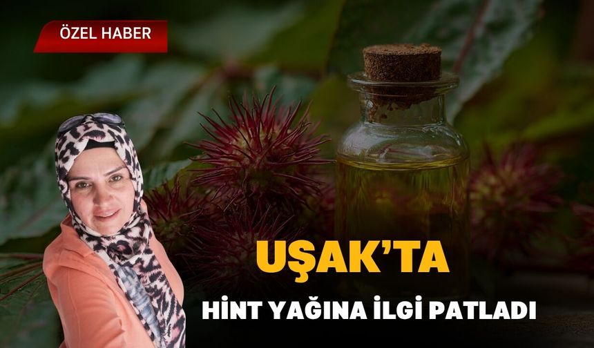 Uşak’ta Hint Yağına İlgi Patladı