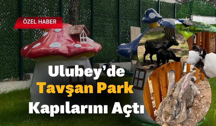 Ulubey’de Tavşan Park Kapılarını Açtı
