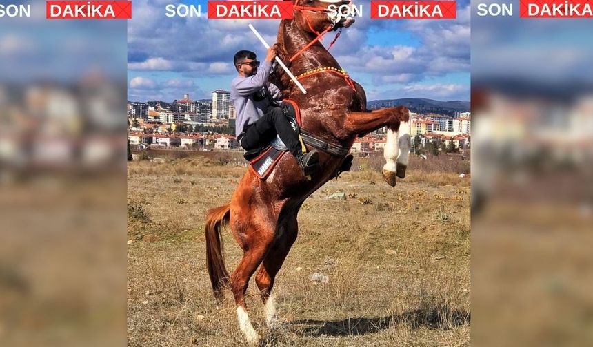 Uşak’ta Atlı Cirit Sporcusu Ağır Yaralı Atı Öldü