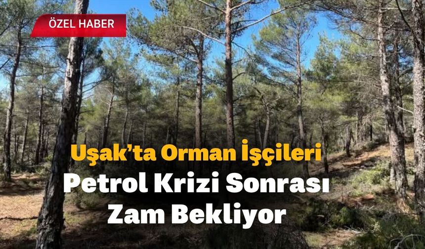 Uşak’ta Orman İşçileri Petrol Krizi Sonrası Zam Bekliyor