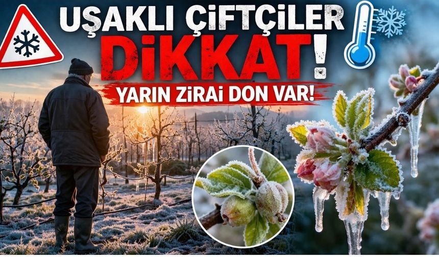 Uşaklı Çiftçiler Dikkat! Yarın Zirai Don Bekleniyor