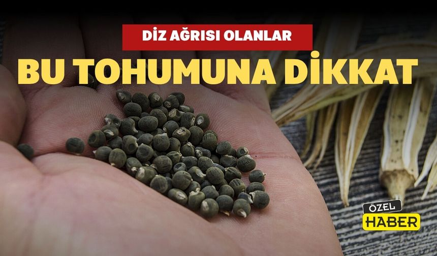 Diz Ağrısı Olanlar Bu Tohuma Dikkat!
