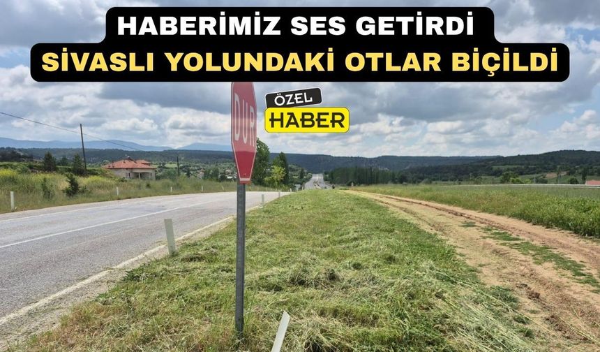 AK Parti Uşak Milletvekili İsmail Güneş; “Otlar Biçildi”