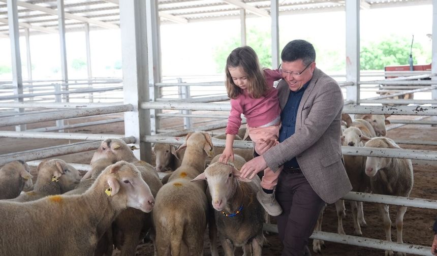 Milletvekili Tuğrul’dan Hayvan Pazarı’na Ziyaret