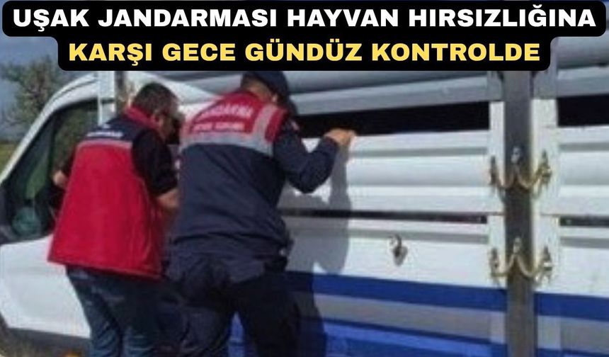 Uşak Jandarması hayvan hırsızlığına karşı tetikte