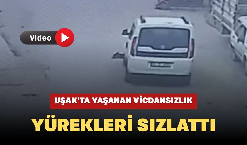 Uşak’ta Yaşanan Vicdansızlık Yürekleri Sızlattı