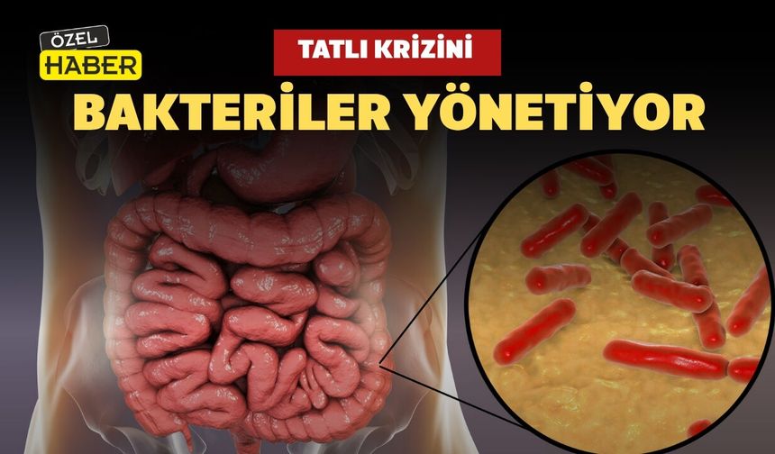 Uşaklı Diyetisyenden Şaşırtan Gerçek: Tatlı Krizini Bakteriler Yönetiyor