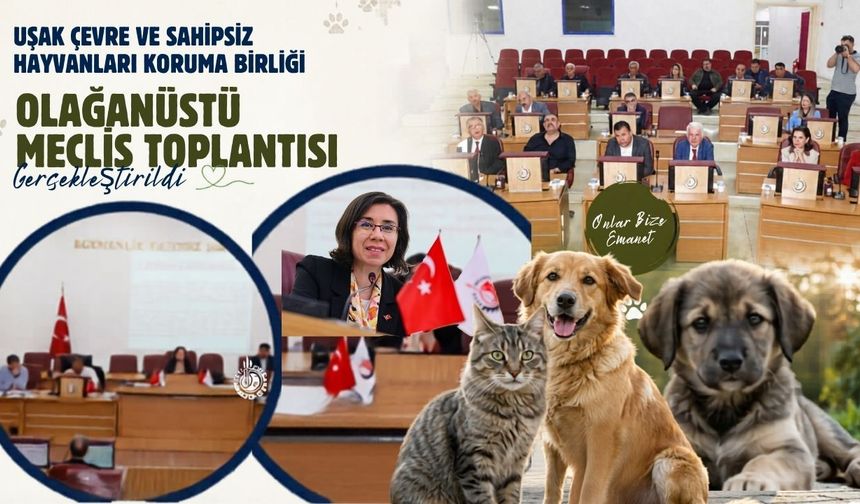 Uşak’ta sahipsiz canlar için olağanüstü toplantı